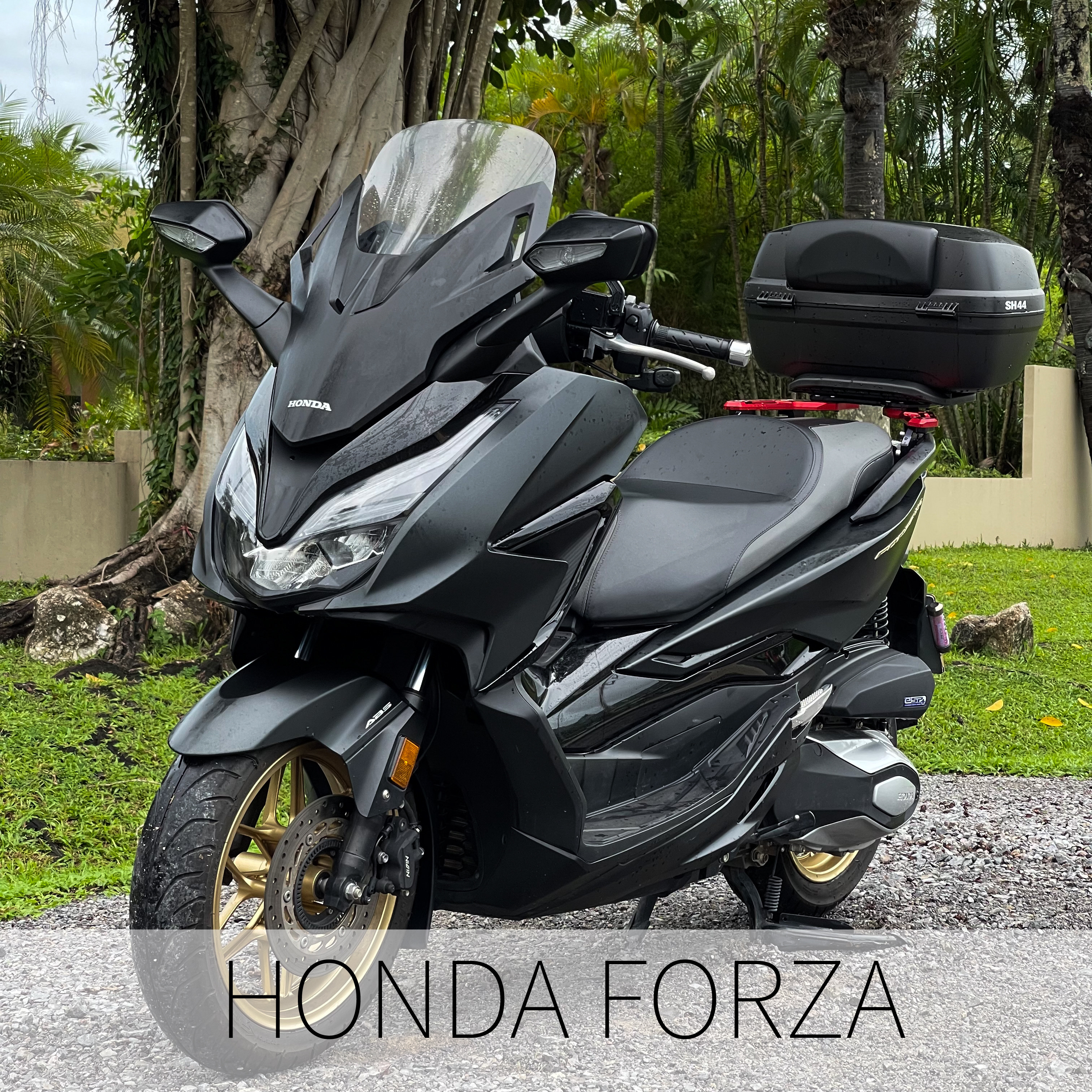 Honda Forza 350 (2022) аренда Пхукет