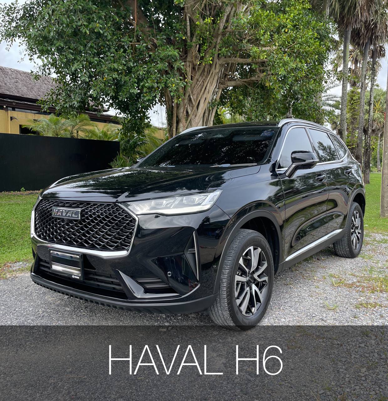 Haval H6 аренда Пхукет