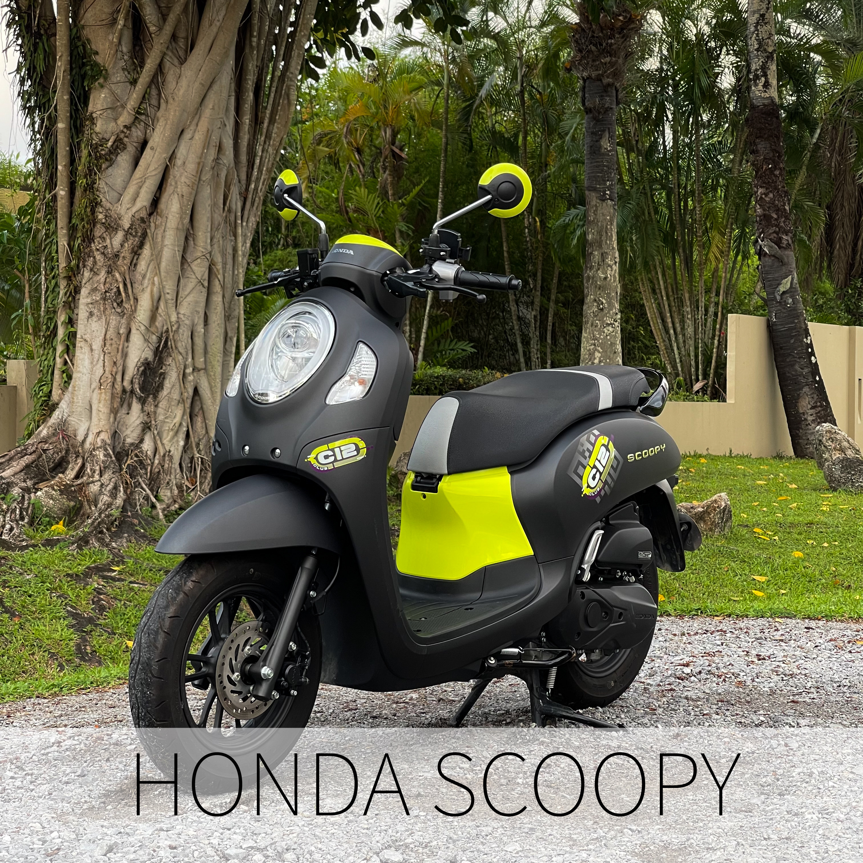Honda Scoopy 110 аренда Пхукет